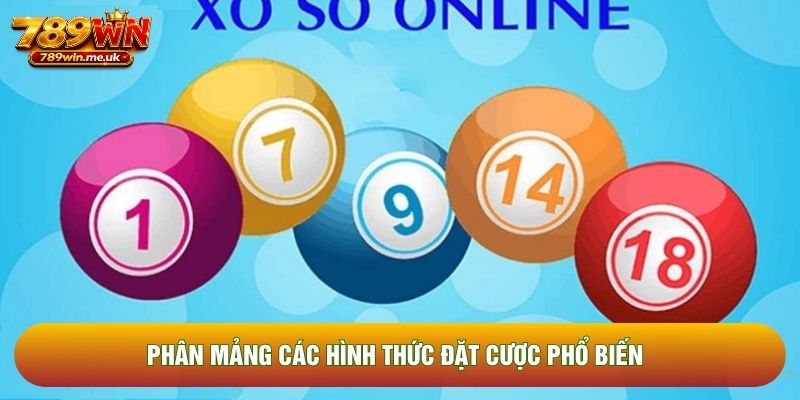 Phân mảng các hình thức đặt cược phổ biến