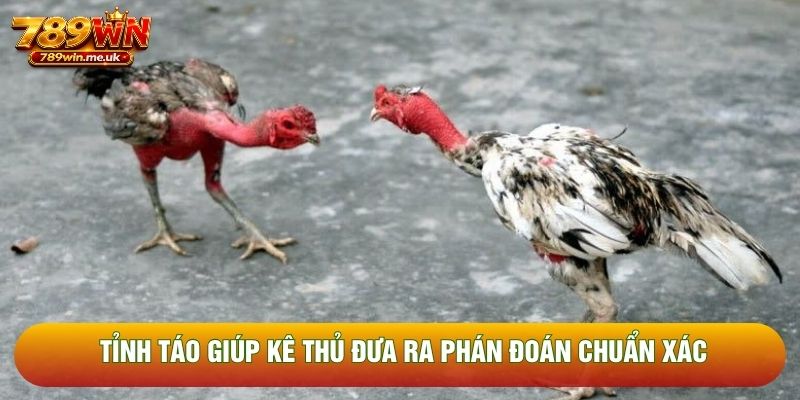 Tỉnh táo giúp kê thủ đưa ra phán đoán chuẩn xác Tỉnh táo giúp kê thủ đưa ra phán đoán chuẩn xác